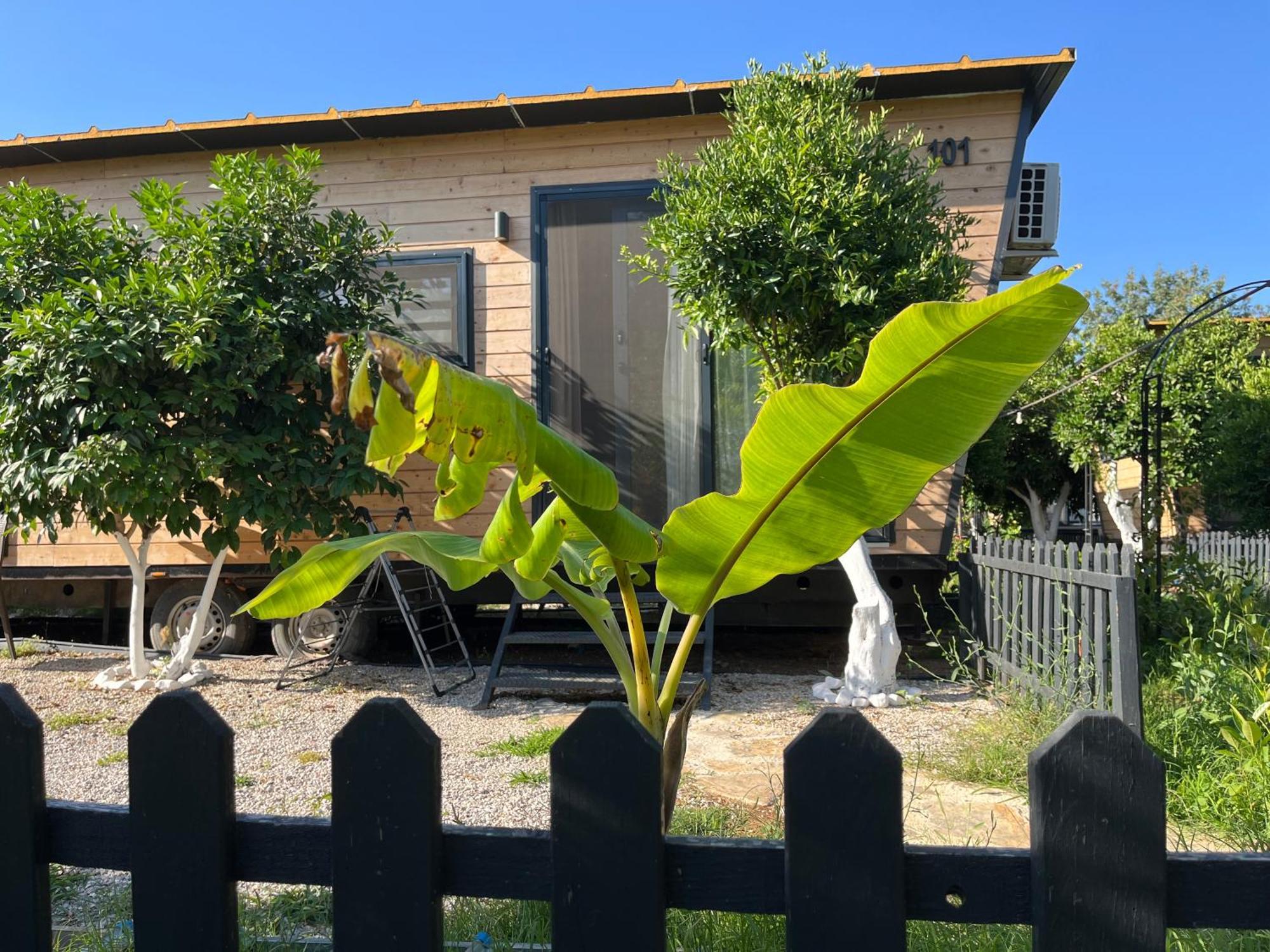 Gaia Tiny Houses Butik Hotel Bodrum Buitenkant foto